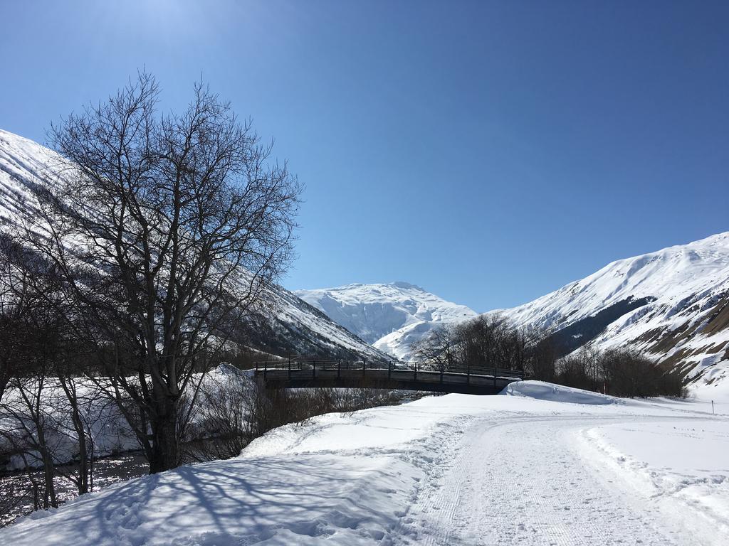 Bnb Bellavista Apartment Andermatt Exterior photo