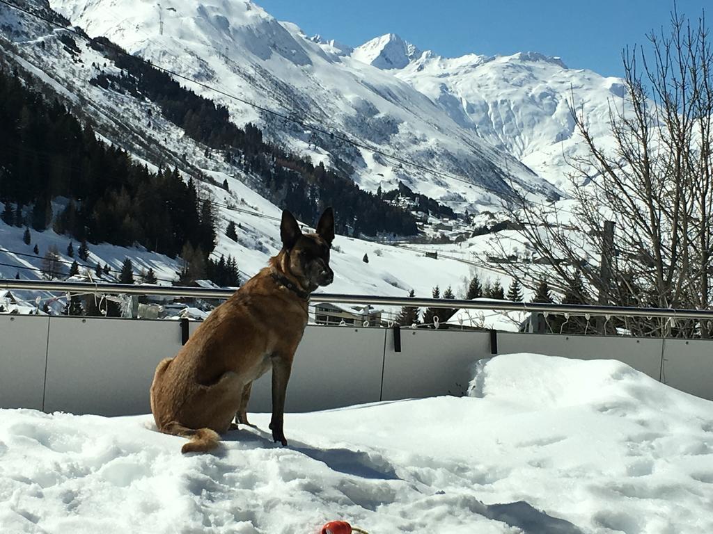 Bnb Bellavista Apartment Andermatt Exterior photo